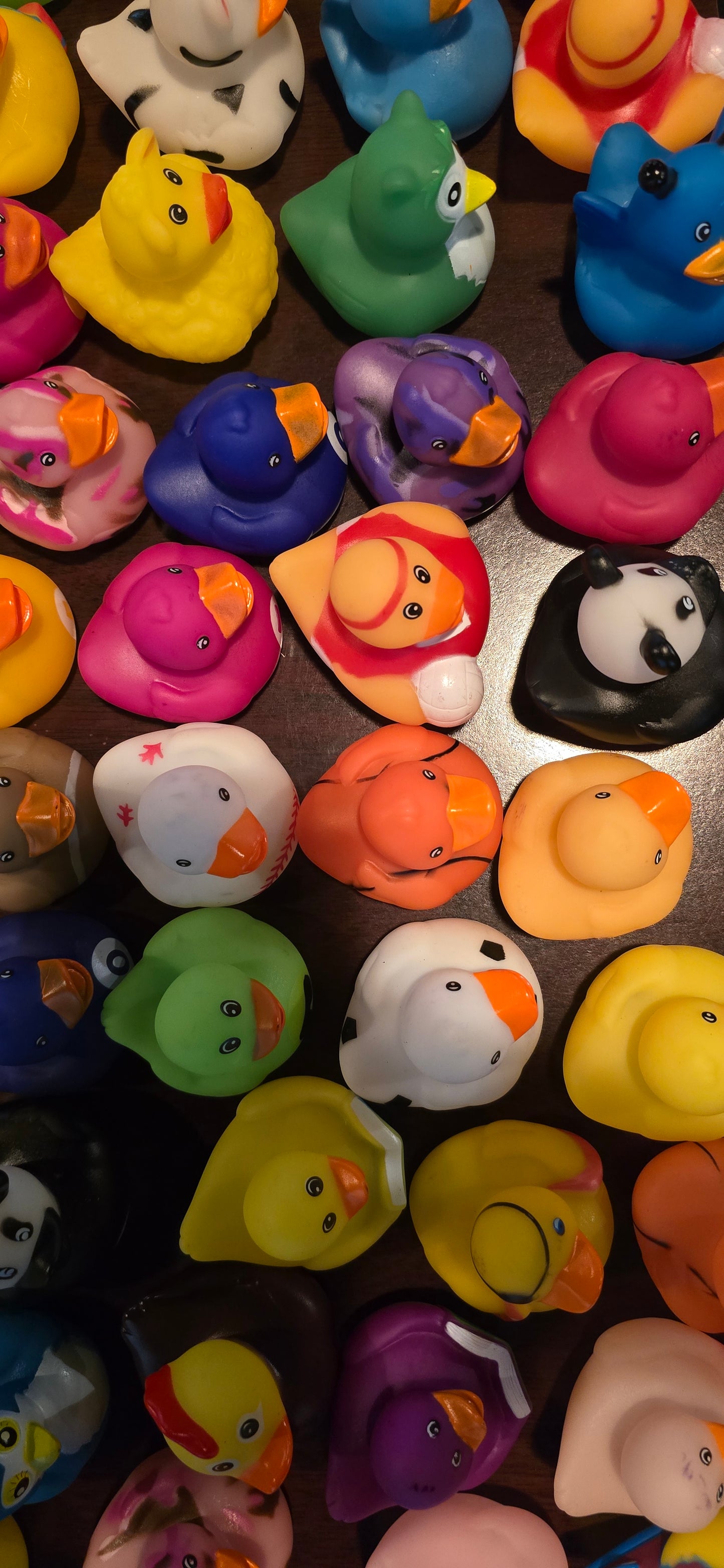 Disco Duck Fundraising