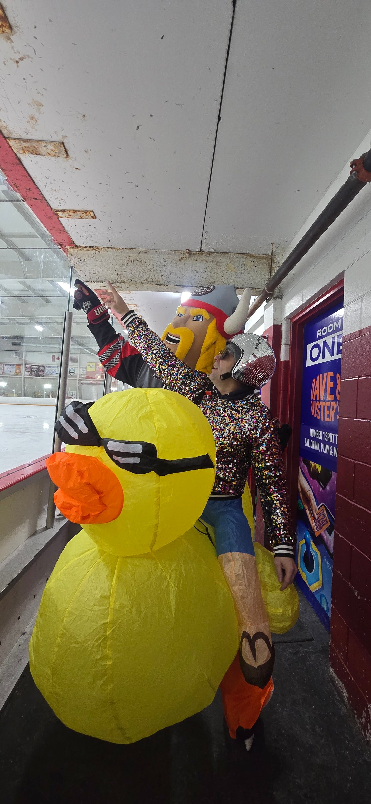 Disco Duck Fundraising
